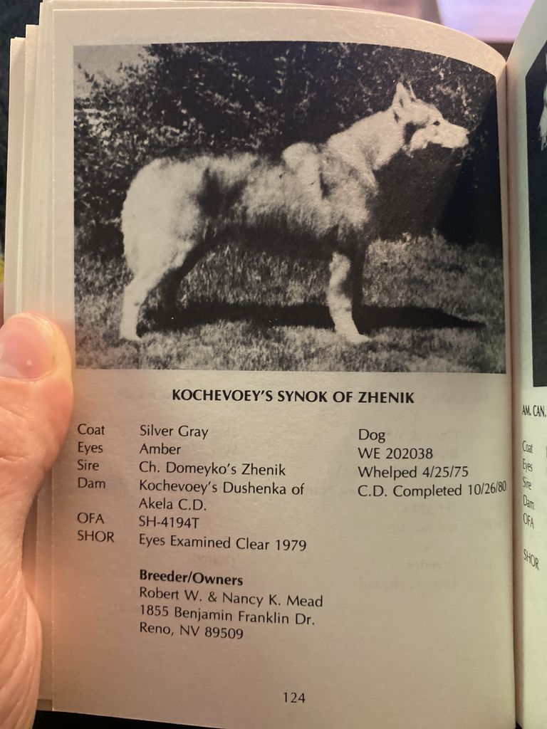 Photo of Kochevoey’s Synok of Zhenik