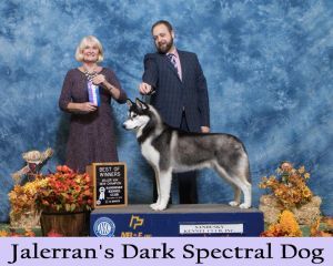 Photo of Jalerran’s Dark Spectral Dog