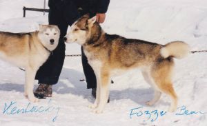 Photo of Fozzie Bear av Vargevass-A