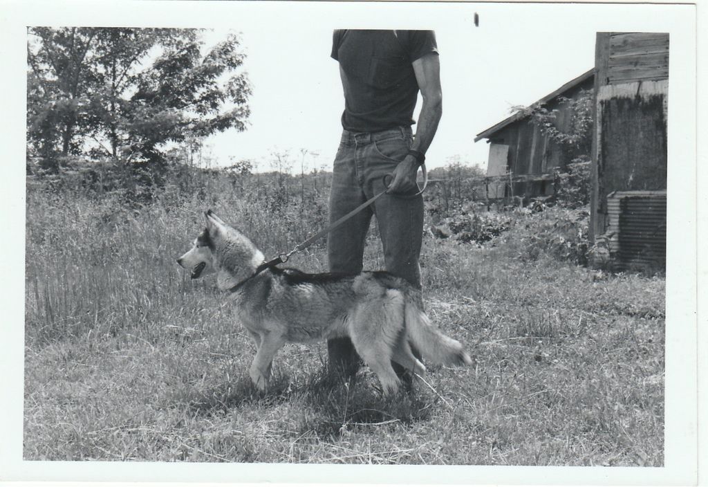 Photo of Adina Of Manahtok