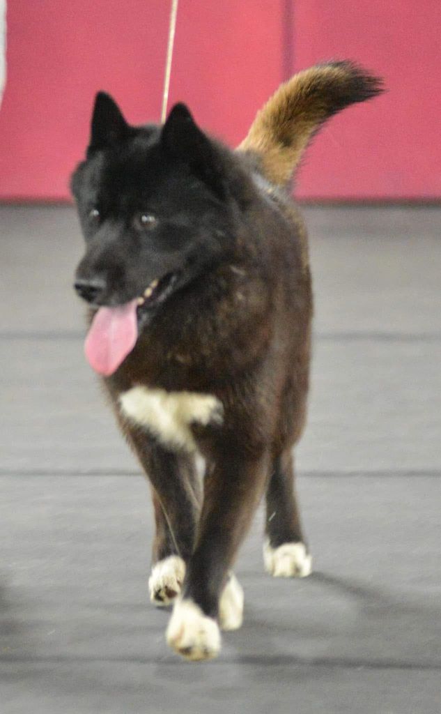 Photo of KPM Dark Side Of Malakai at KRAYR