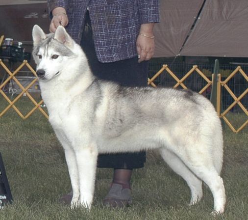 Photo of Karamad Call’d Down The Thunder