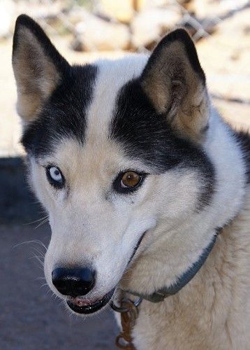 Photo of Jedeye Baldrick of Manitou