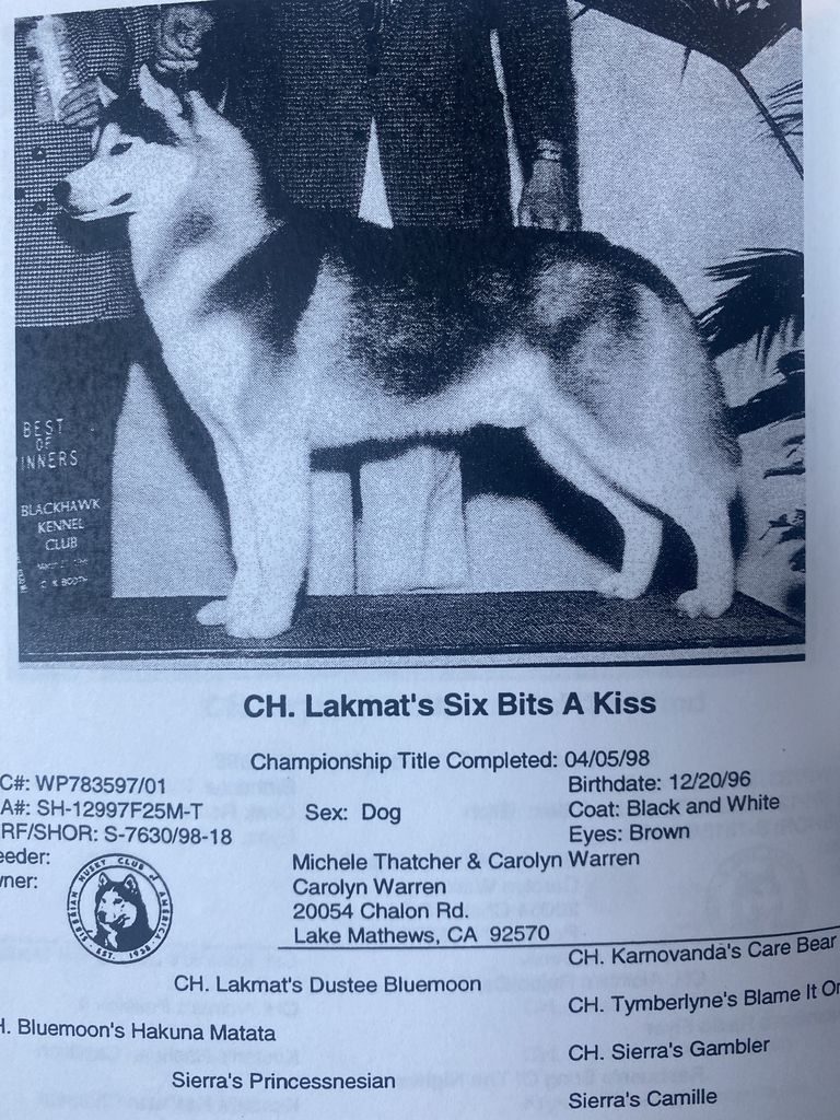 Photo of Lakmat’s Six Bits A Kiss