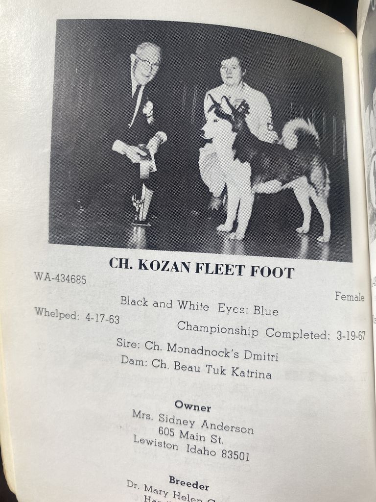 Photo of Kozan Fleet Foot