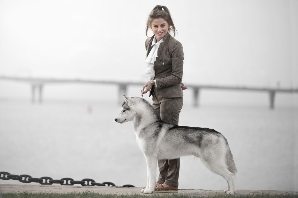 Photo of Luxury Life Valor Velkan