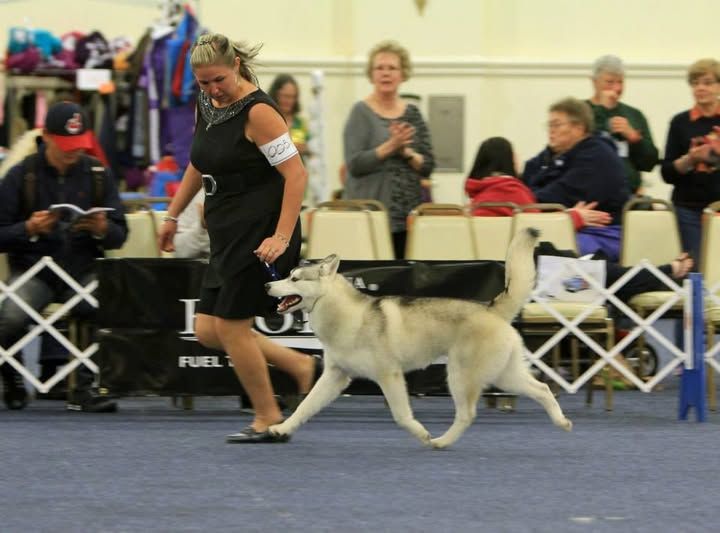 Photo of Whitepeak’s Rebel With A Cause At Pachodi