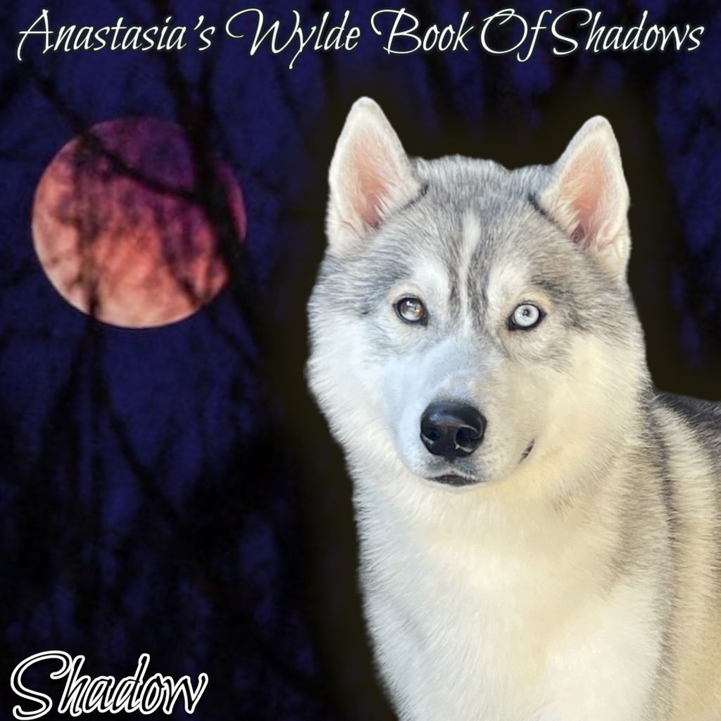 Photo of Anastasia’s Wylde Book Of Shadows