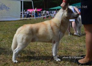 Photo of Azur Glens For Vento Libero
