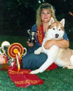 Photo of Arctic Storm Of Foxfire