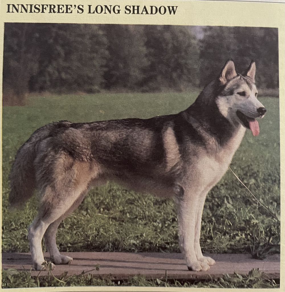 Photo of Innisfree’s Long Shadow
