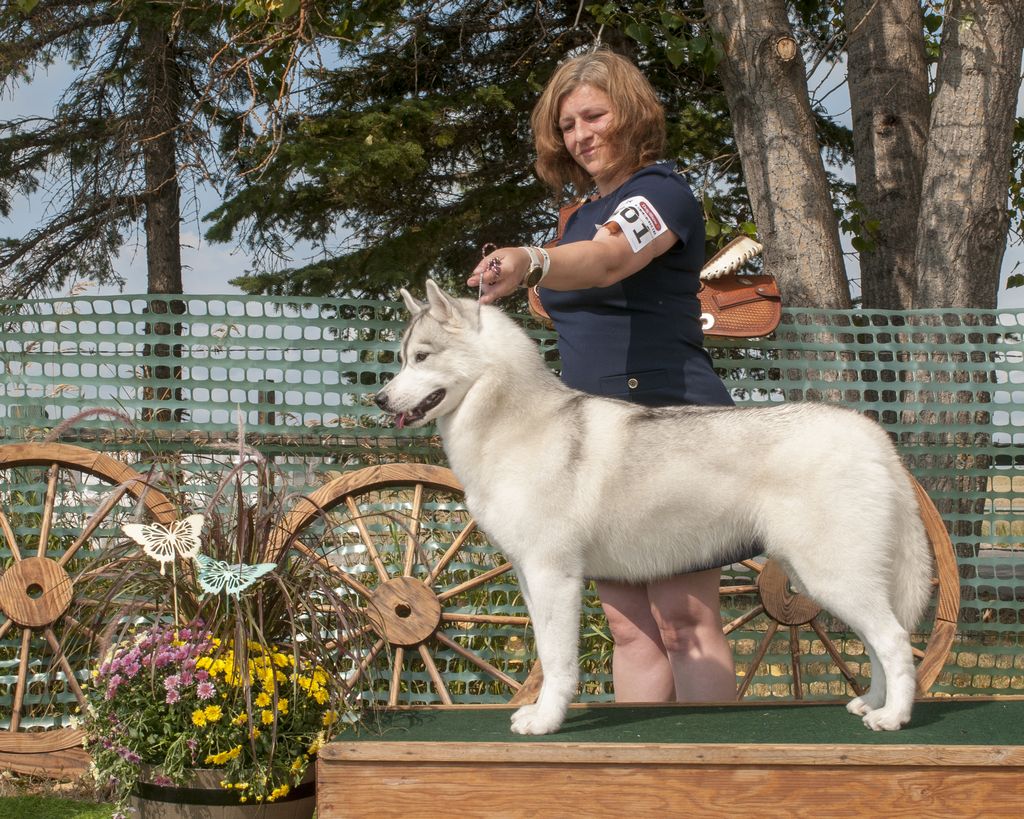 Photo of Rockyview's Northern Ice Diamond At Nanook