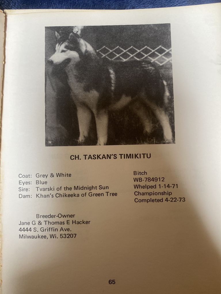 Photo of Taskan’s Timikitu