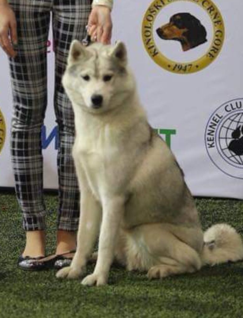 Photo of Temptation of Siberian Lady
