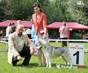 Photo of D'vivi Sweet Lili Of Siberian Country