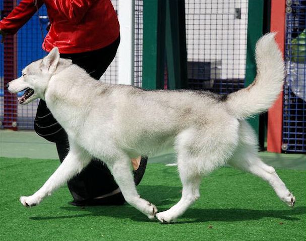 Photo of Winterfrost’s Afrodita