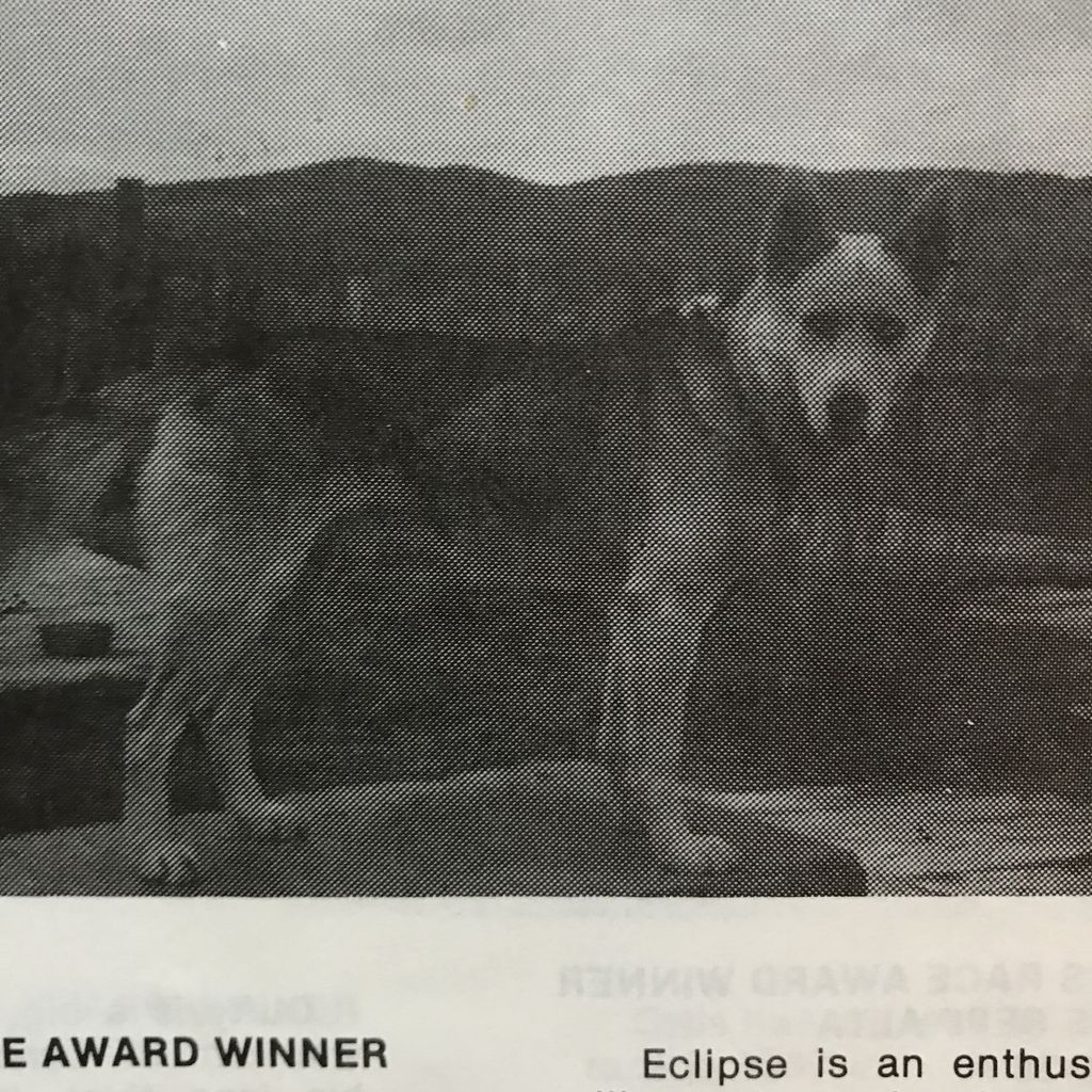 Photo of Eclipse Of Sepp-Alta