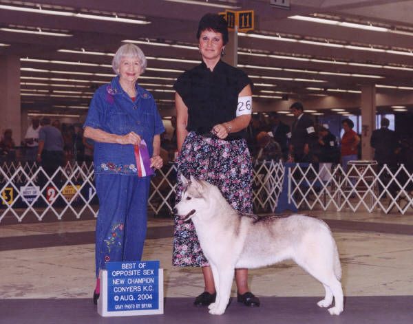 Photo of Sibex’s Spirit Of America