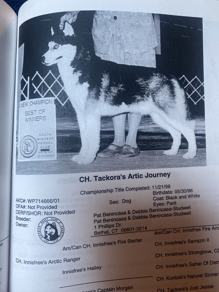 Photo of Tackora’s Artic Journey
