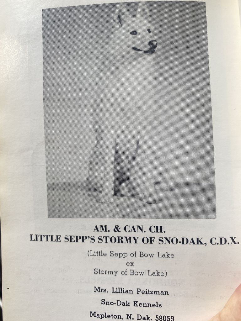 Photo of Little Sepp’s Stormy Of Sno-Dak