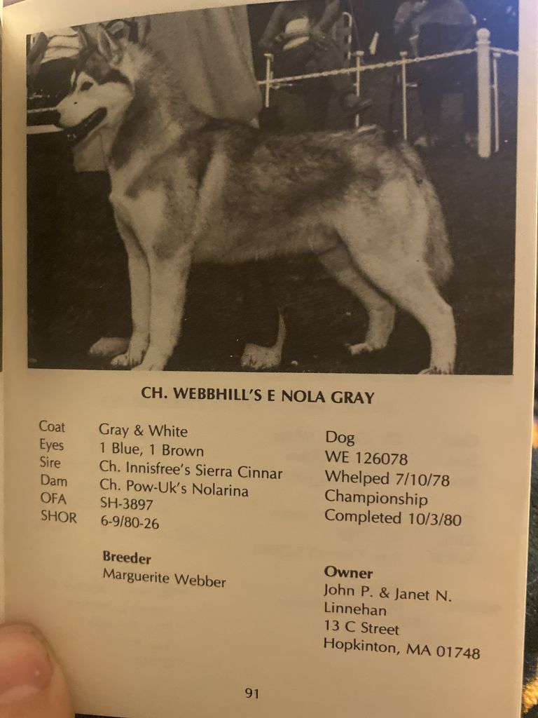 Photo of Webbhill’s E Nola Gray