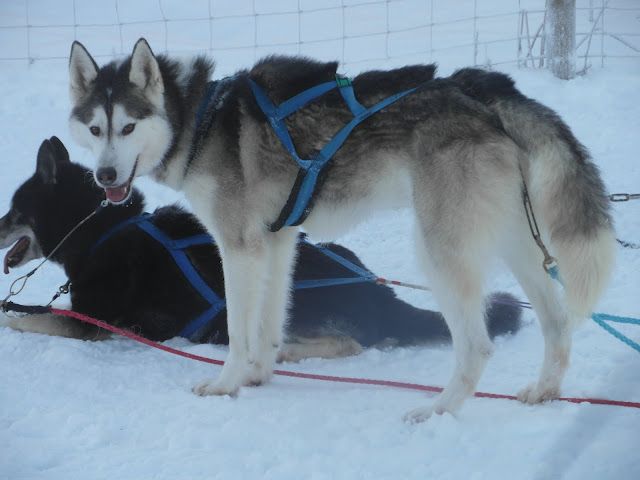 Photo of Komaksiut’s U.P.