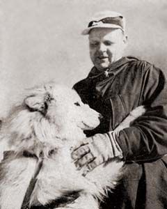 Photo of Foxstand’s Shamus