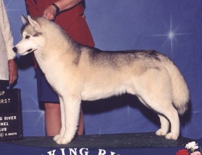 Photo of Karnovanda’s Niklas Wolf