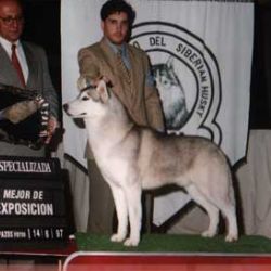 Photo of Sekene’s Silver