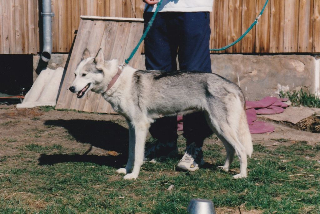 Photo of Finnemarka’s Hippu