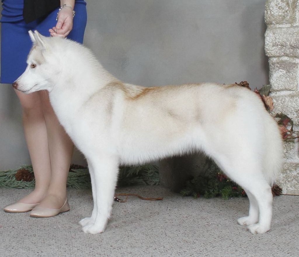 Photo of Nanook's Eternal Fire