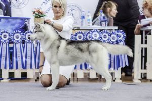 Photo of Sibka Age Gone Wild