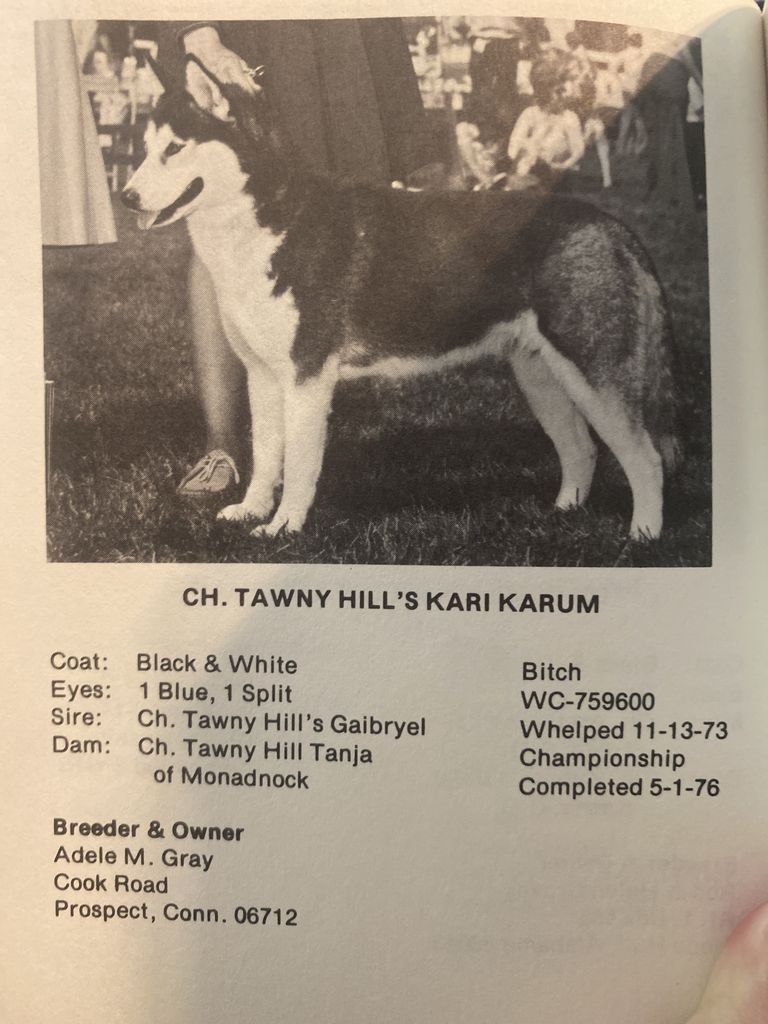 Photo of Tawny Hill’s Kari Karum