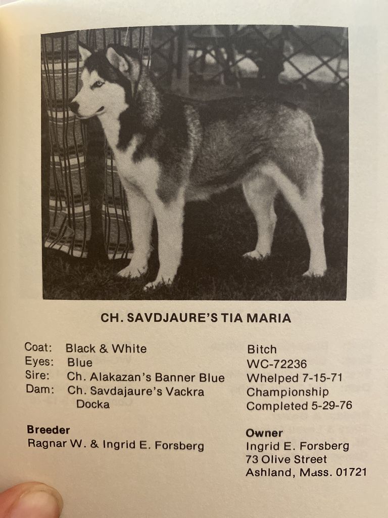 Photo of Savdajaure’s Tia Maria