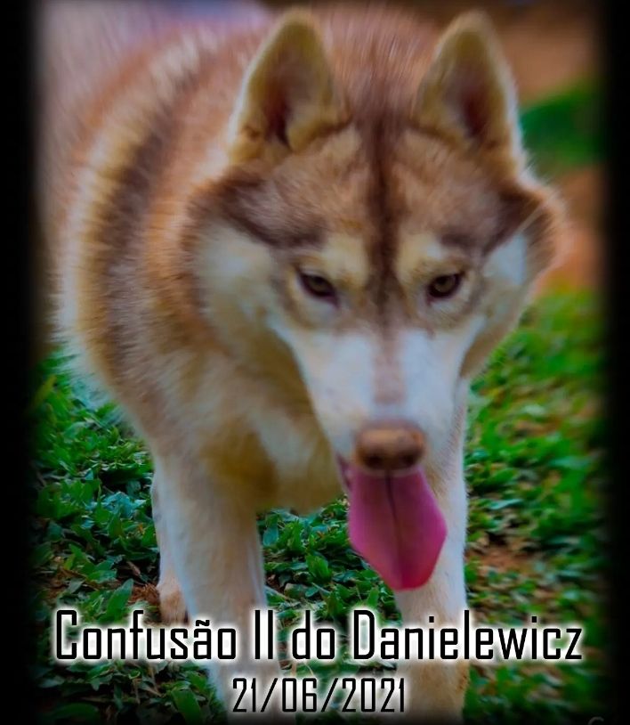 Photo of Confusão II do Danielewicz