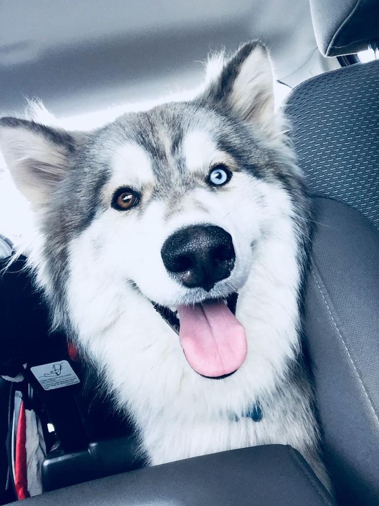 Photo of Blue