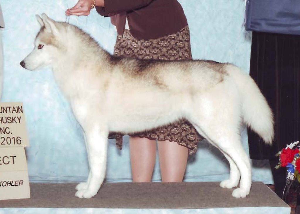 Photo of Nykiska’s Work Of Art
