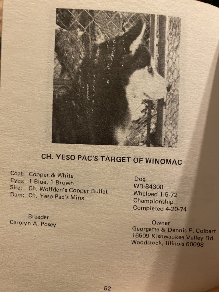 Photo of Yeso Pac’s Target Of Winomac