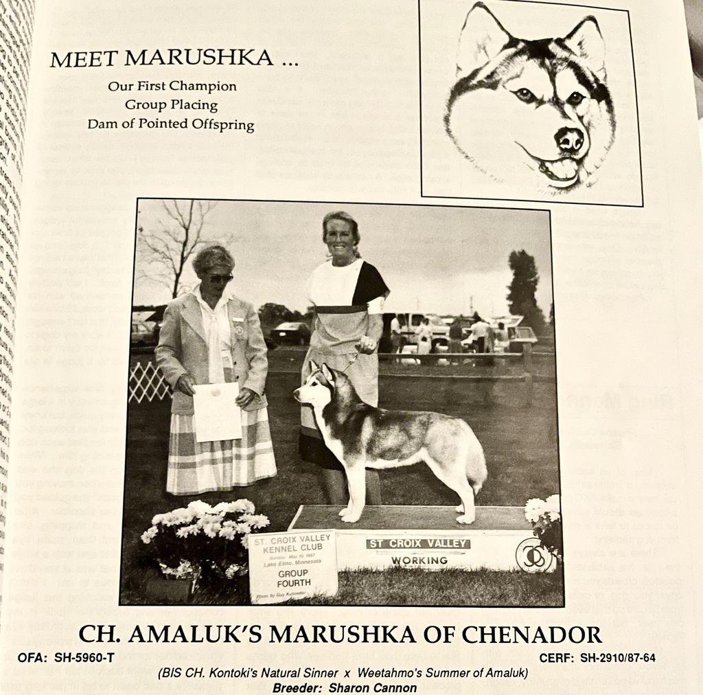 Photo of Amaluk’s Marushka of Chenador