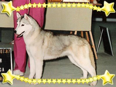 Photo of Goosak’s Girl Nahani Of Goosak