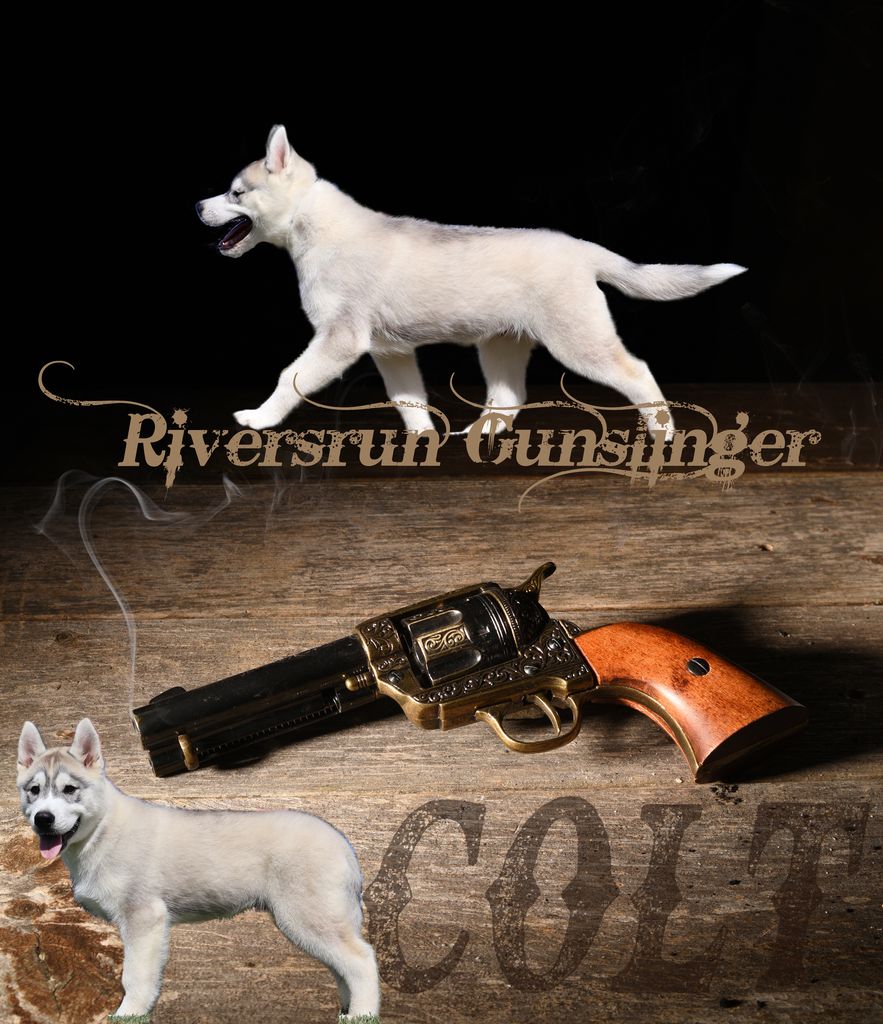 Photo of Riversrun Gunslinger