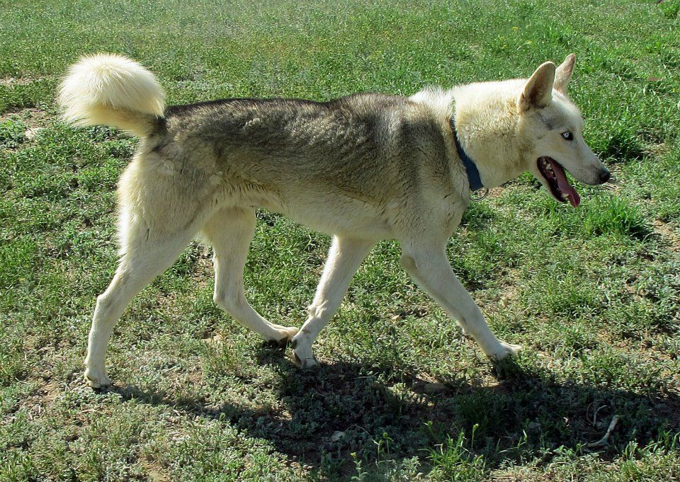 Photo of Seppaltas Chase