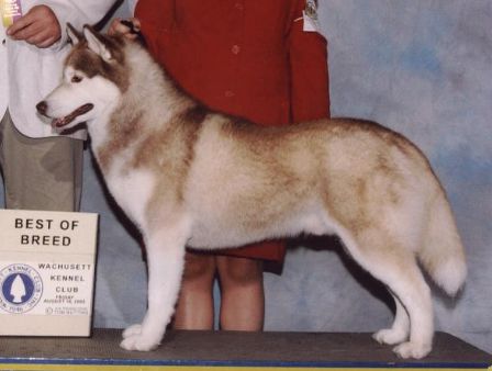 Photo of Skrimshaw's Slow Ryde