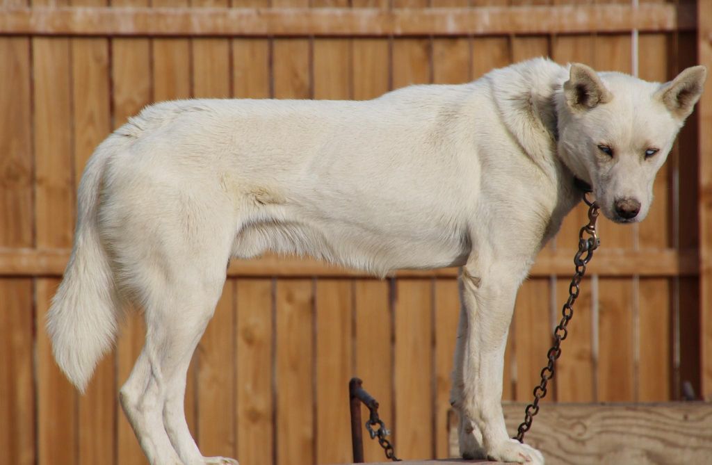 Photo of Deer Creek’s Huckleberry Finn