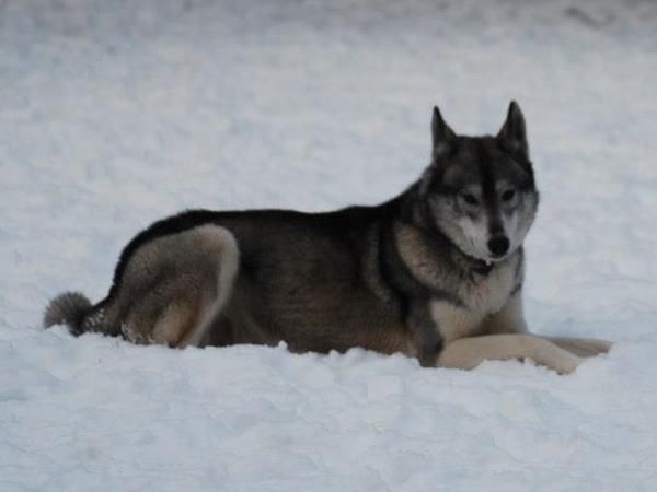 Photo of Moonrun’s Hurricane