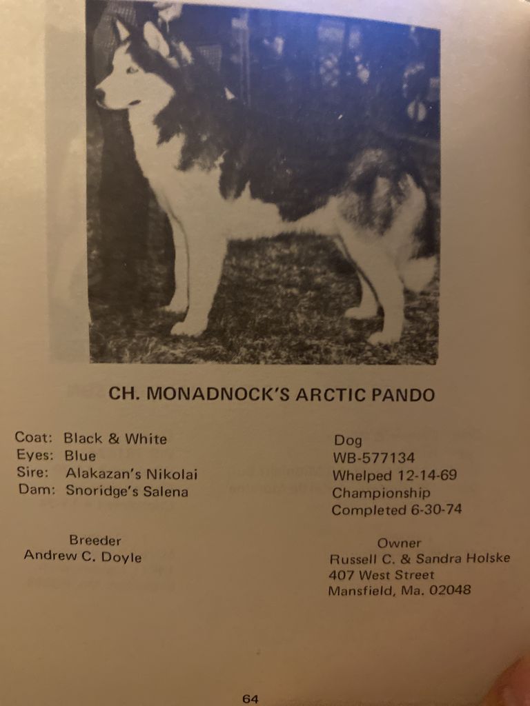 Photo of Monadnock’s Arctic Pando