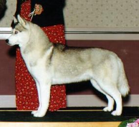 Photo of Topaz Simply Grace