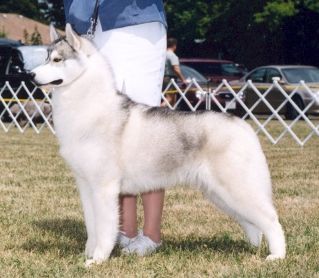 Photo of Bain’s Northern The Patriot