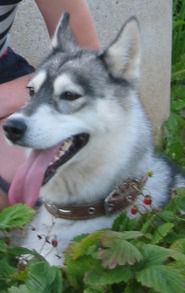 Photo of Irma s Akulovoy Gory