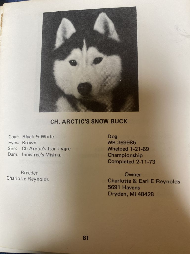 Photo of Arctic’s Snow Buck